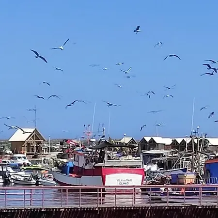 Apartamento Au Coeur D'olhao Olhão