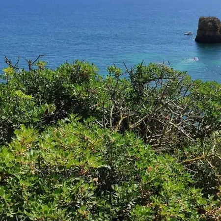 Apartament Au Coeur D'olhao Olhão