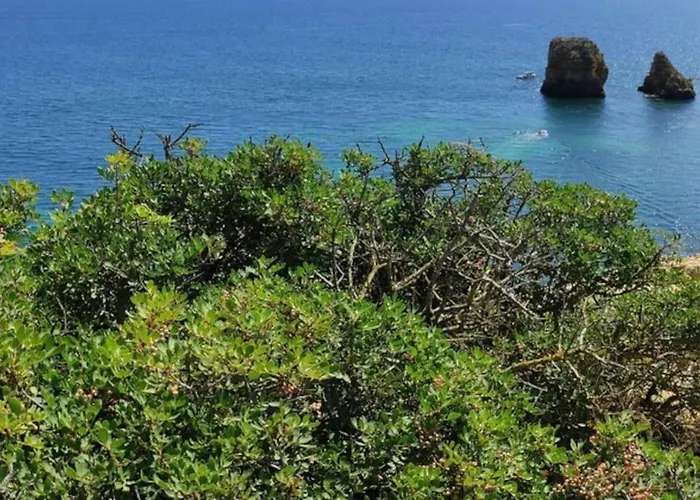 Apartamento Au Coeur D'olhao Olhão