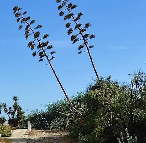 Apartamento Au Coeur D'olhao