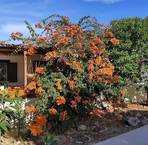 Au Coeur D'olhao Apartamento *