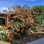 Au Coeur D'olhao 公寓 *
