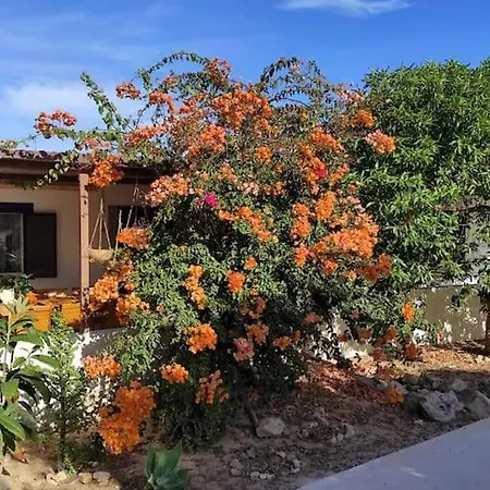 Au Coeur D'olhao Appartement *